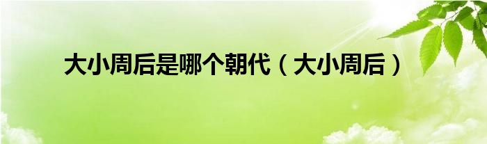 大小周后是哪个朝代（大小周后）