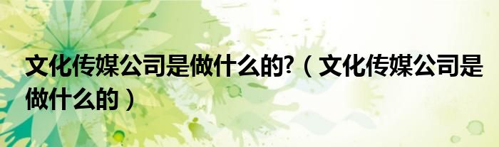 文化传媒公司是做什么的?（文化传媒公司是做什么的）