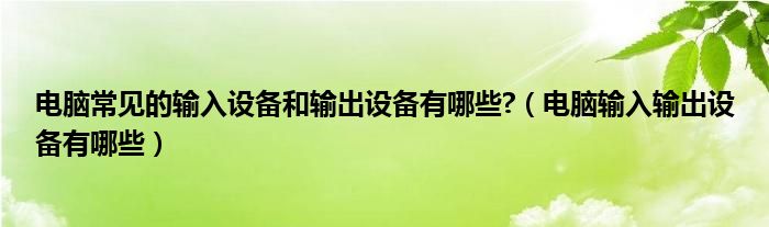 电脑常见的输入设备和输出设备有哪些?（电脑输入输出设备有哪些）