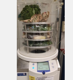 供人类食用的蔬菜对轮胎磨损添加剂的吸收
