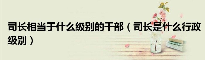 司长相当于什么级别的干部（司长是什么行政级别）