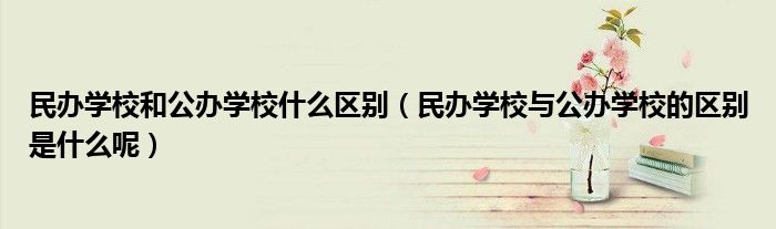 民办学校和公办学校什么区别（民办学校与公办学校的区别是什么呢）