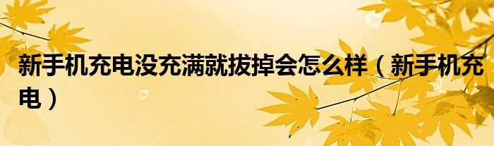 新手机充电没充满就拔掉会怎么样（新手机充电）