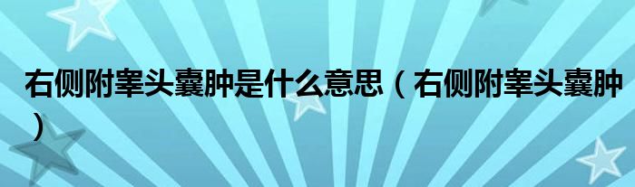 右侧附睾头囊肿是什么意思（右侧附睾头囊肿）