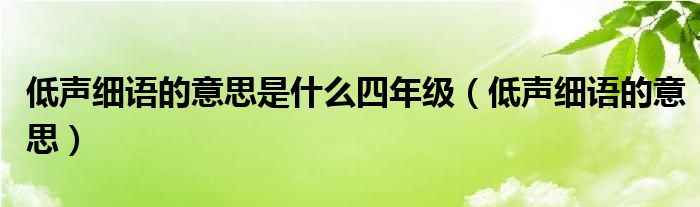 低声细语的意思是什么四年级（低声细语的意思）