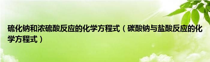 硫化钠和浓硫酸反应的化学方程式（碳酸钠与盐酸反应的化学方程式）
