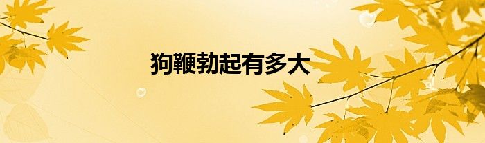 狗鞭勃起有多大