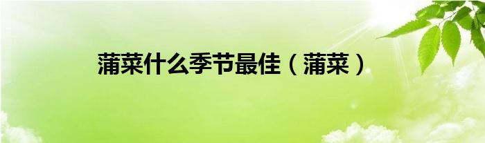 蒲菜什么季节最佳（蒲菜）