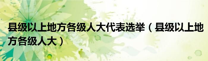 县级以上地方各级人大代表选举（县级以上地方各级人大）