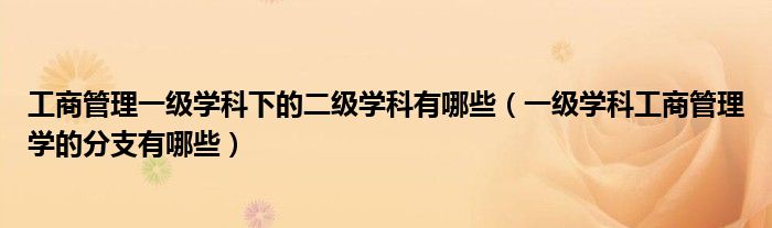 工商管理一级学科下的二级学科有哪些（一级学科工商管理学的分支有哪些）