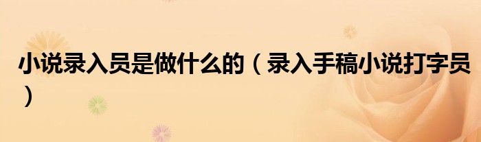 小说录入员是做什么的（录入手稿小说打字员）