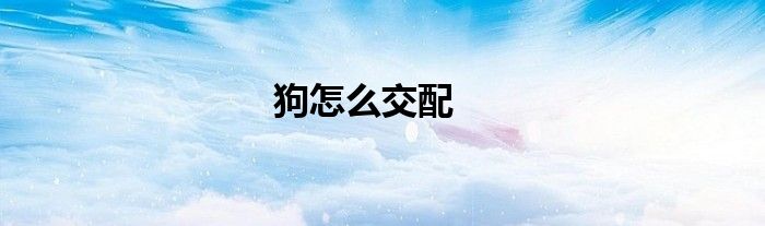 狗怎么交配