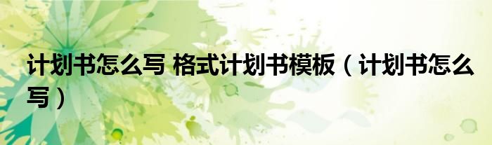 计划书怎么写 格式计划书模板（计划书怎么写）