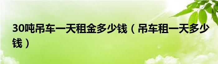 30吨吊车一天租金多少钱（吊车租一天多少钱）