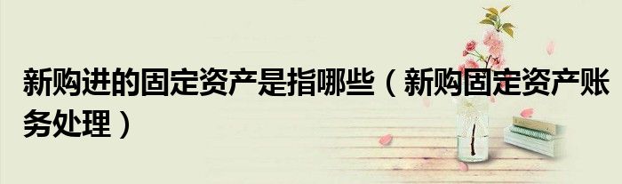 新购进的固定资产是指哪些（新购固定资产账务处理）