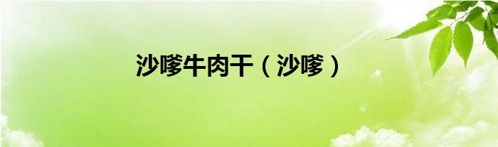 沙嗲牛肉干（沙嗲）