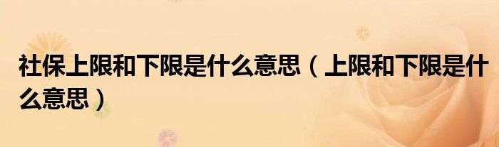 社保上限和下限是什么意思（上限和下限是什么意思）