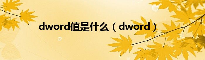 dword值是什么（dword）