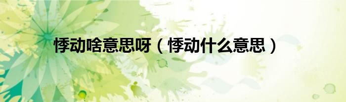 悸动啥意思呀（悸动什么意思）