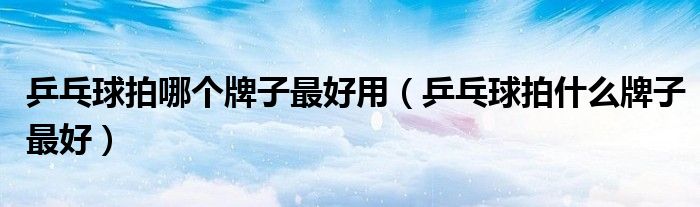 乒乓球拍哪个牌子最好用（乒乓球拍什么牌子最好）