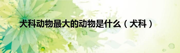 犬科动物最大的动物是什么（犬科）
