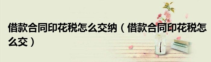 借款合同印花税怎么交纳（借款合同印花税怎么交）