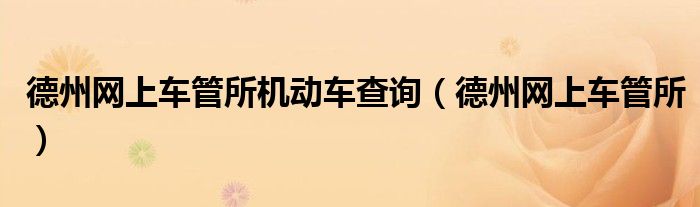 德州网上车管所机动车查询（德州网上车管所）