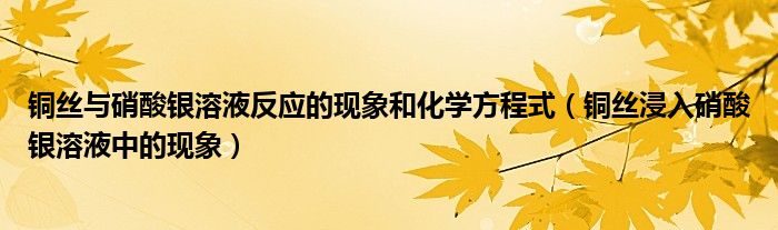 铜丝与硝酸银溶液反应的现象和化学方程式（铜丝浸入硝酸银溶液中的现象）