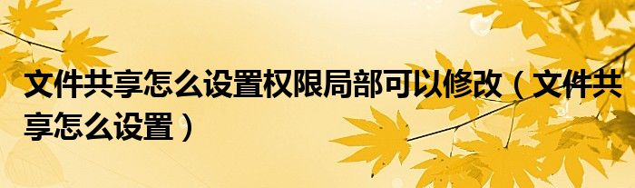 文件共享怎么设置权限局部可以修改（文件共享怎么设置）