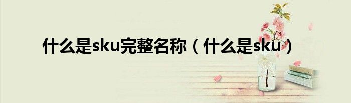 什么是sku完整名称（什么是sku）