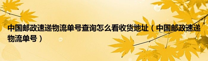 中国邮政速递物流单号查询怎么看收货地址（中国邮政速递物流单号）