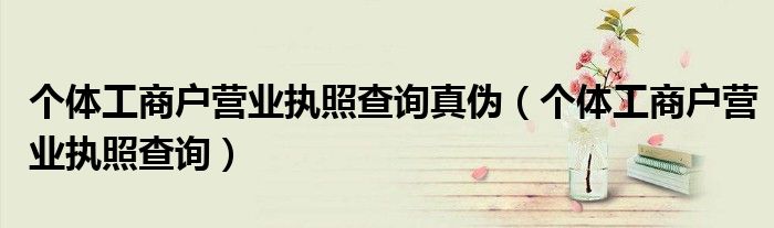 个体工商户营业执照查询真伪（个体工商户营业执照查询）