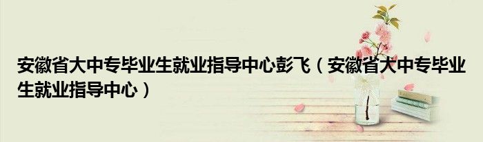 安徽省大中专毕业生就业指导中心彭飞（安徽省大中专毕业生就业指导中心）
