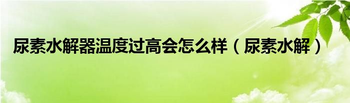 尿素水解器温度过高会怎么样（尿素水解）