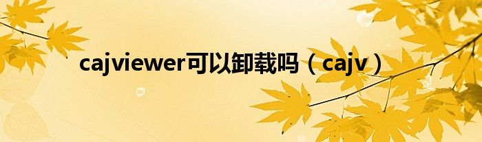 cajviewer可以卸载吗（cajv）