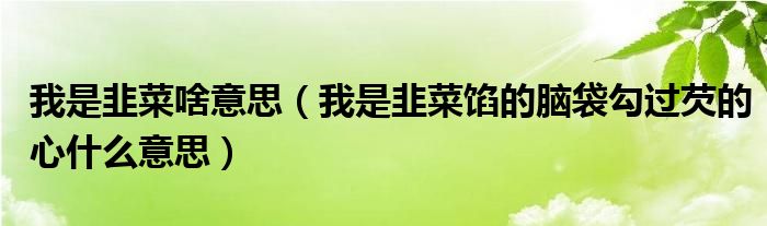 我是韭菜啥意思（我是韭菜馅的脑袋勾过芡的心什么意思）