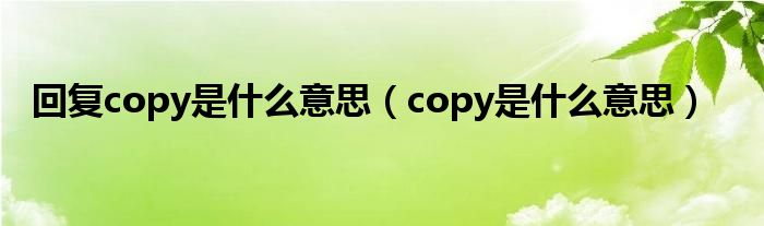 回复copy是什么意思（copy是什么意思）