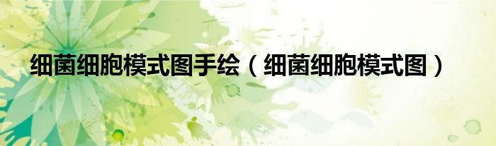细菌细胞模式图手绘（细菌细胞模式图）