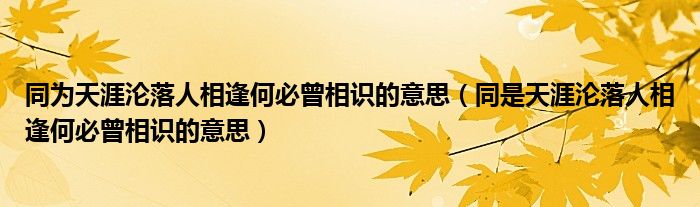 同为天涯沦落人相逢何必曾相识的意思（同是天涯沦落人相逢何必曾相识的意思）
