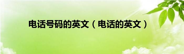 电话号码的英文（电话的英文）