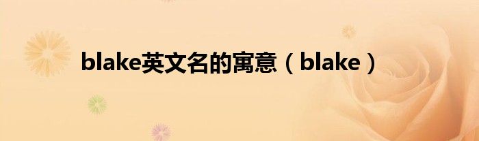 blake英文名的寓意（blake）