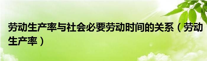 劳动生产率与社会必要劳动时间的关系（劳动生产率）