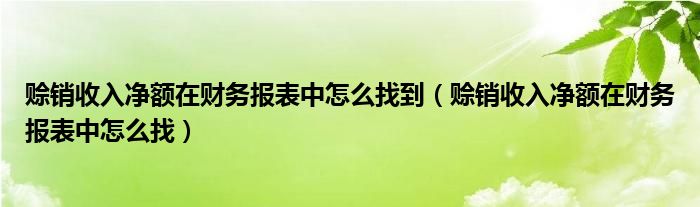 赊销收入净额在财务报表中怎么找到（赊销收入净额在财务报表中怎么找）