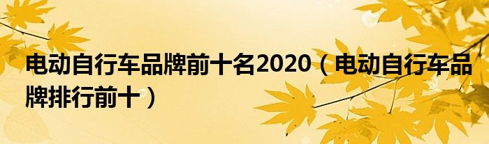 电动自行车品牌前十名2020（电动自行车品牌排行前十）