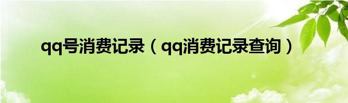 qq号消费记录（qq消费记录查询）
