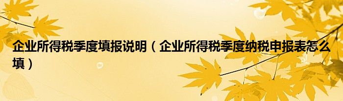 企业所得税季度填报说明（企业所得税季度纳税申报表怎么填）