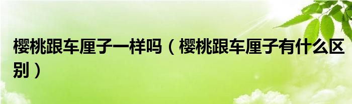 樱桃跟车厘子一样吗（樱桃跟车厘子有什么区别）