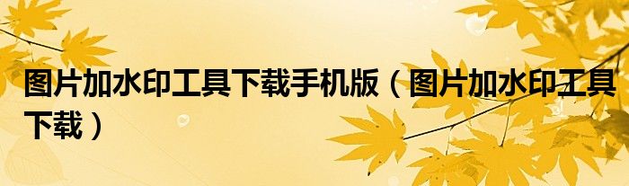图片加水印工具下载手机版（图片加水印工具下载）