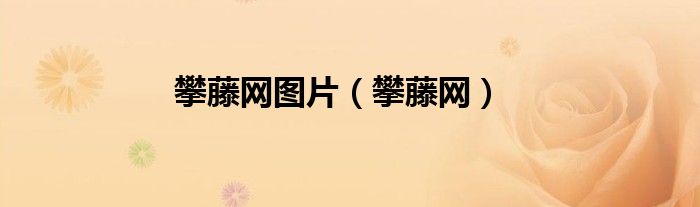 攀藤网图片（攀藤网）