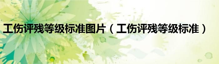 工伤评残等级标准图片（工伤评残等级标准）